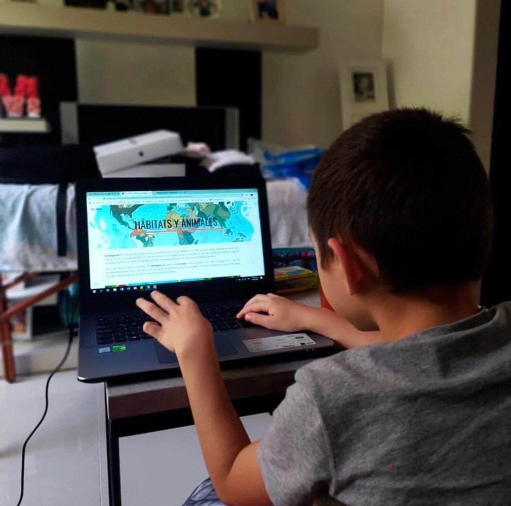 Estudiante virtual Estudiante virtual
