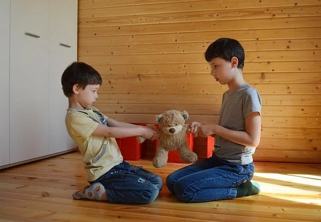 do-not-share-a-toy-5189296_640 do-not-share-a-toy-5189296_640