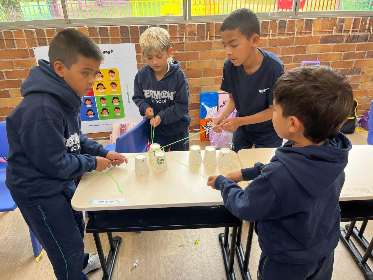 WhatsApp Image 2026-01-13 at 4.36.45 PM