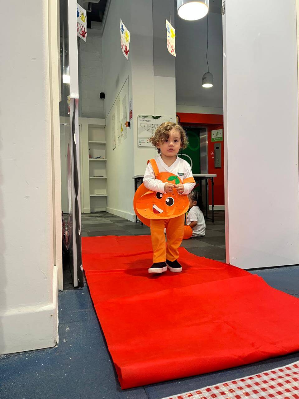 WhatsApp Image 2026-01-23 at 10.08.51 AM (1)