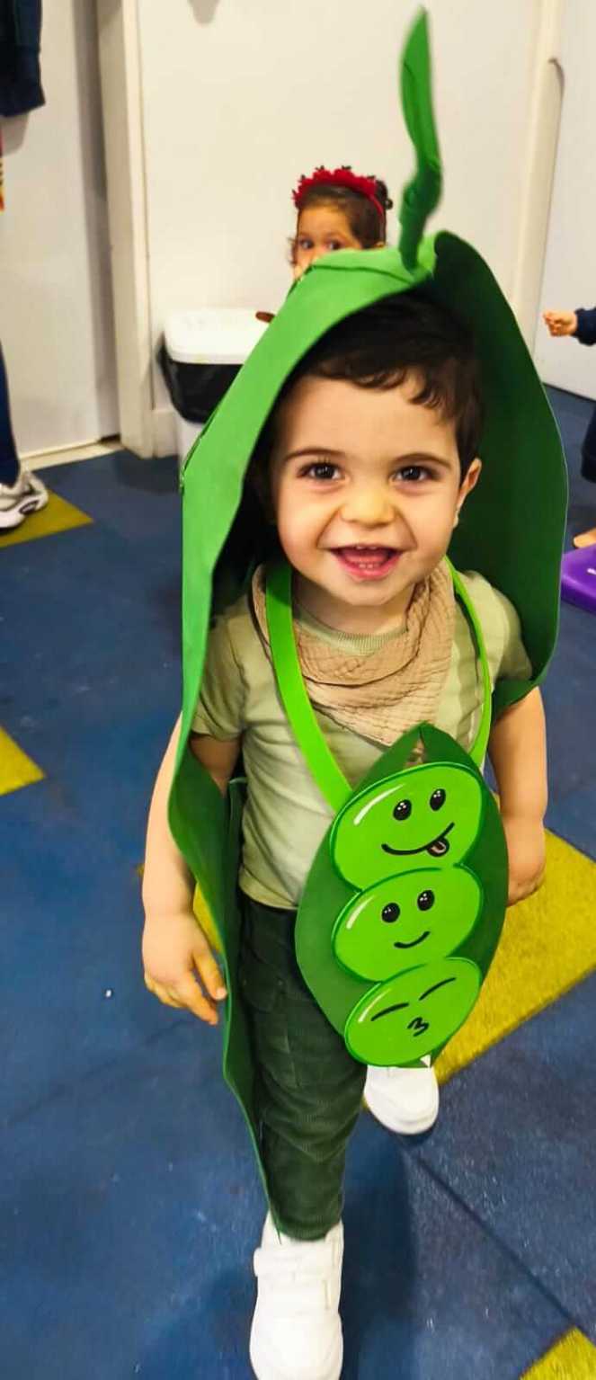 WhatsApp Image 2026-01-23 at 12.52.54 PM (2)